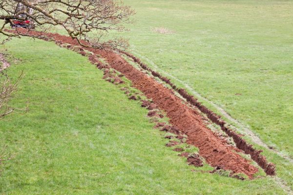 Cost of Swale Installation in Waynesville