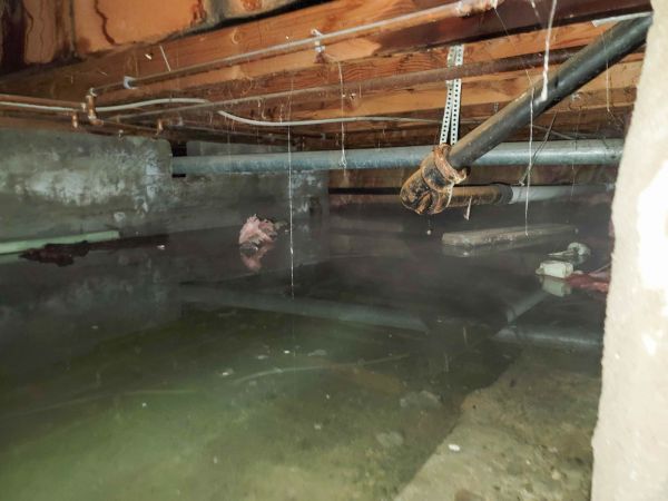 Cost of Crawlspace Drainage in Waynesville