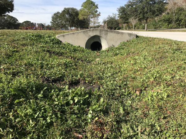 Cost of Swale Drainage Service in Waynesville